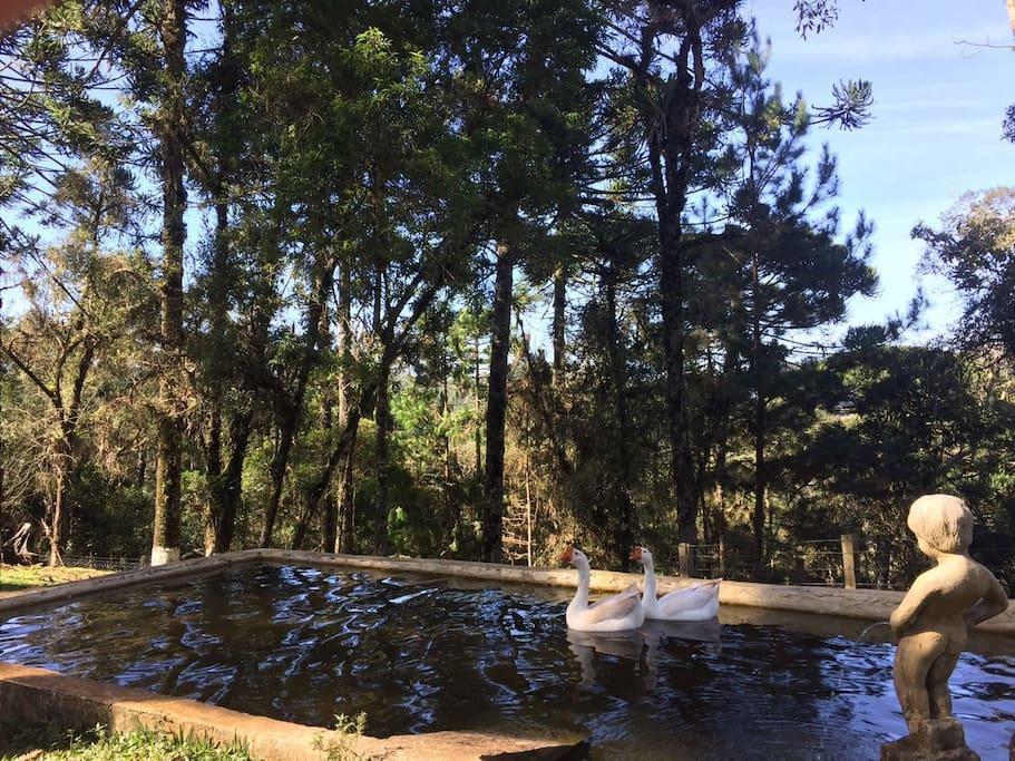 Cantinho Da Simone Campos do Jordao Dış mekan fotoğraf