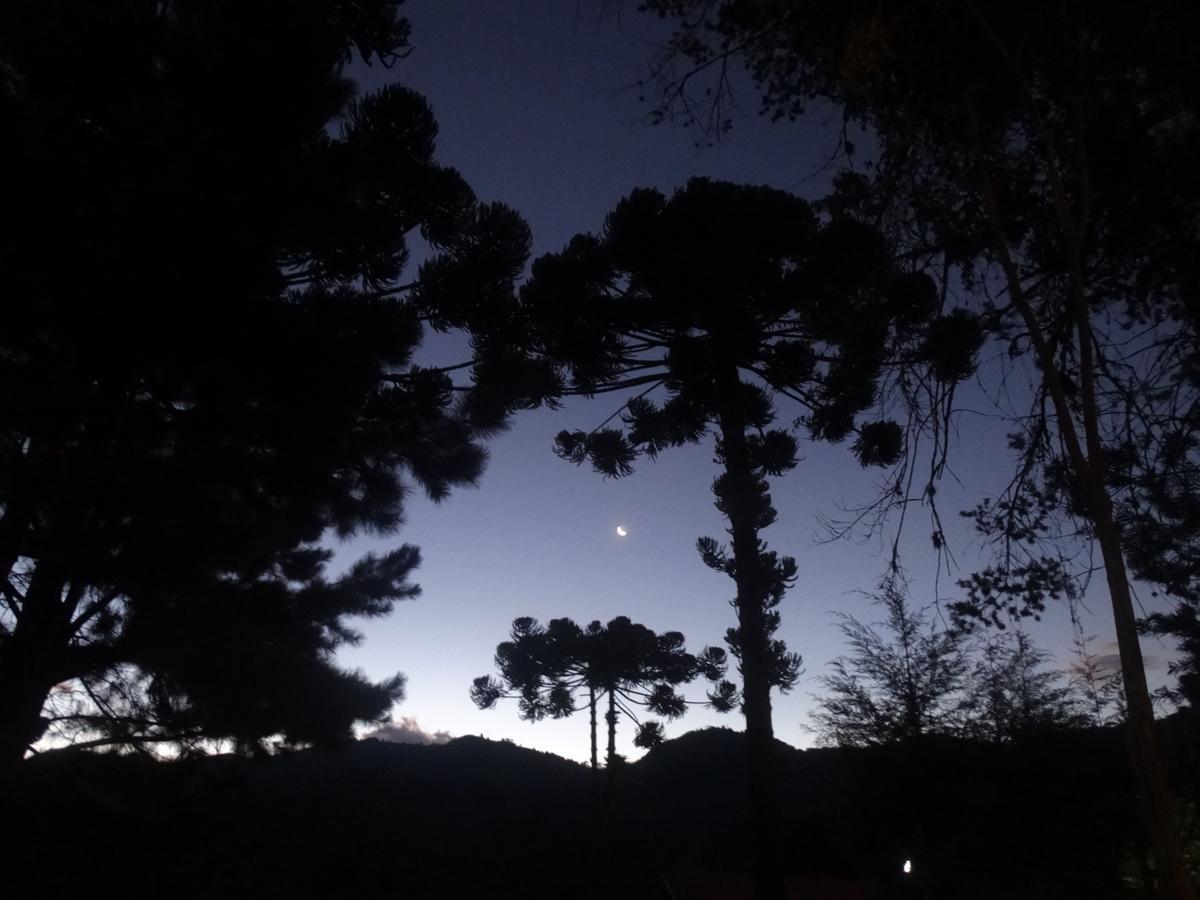 Cantinho Da Simone Campos do Jordao Dış mekan fotoğraf