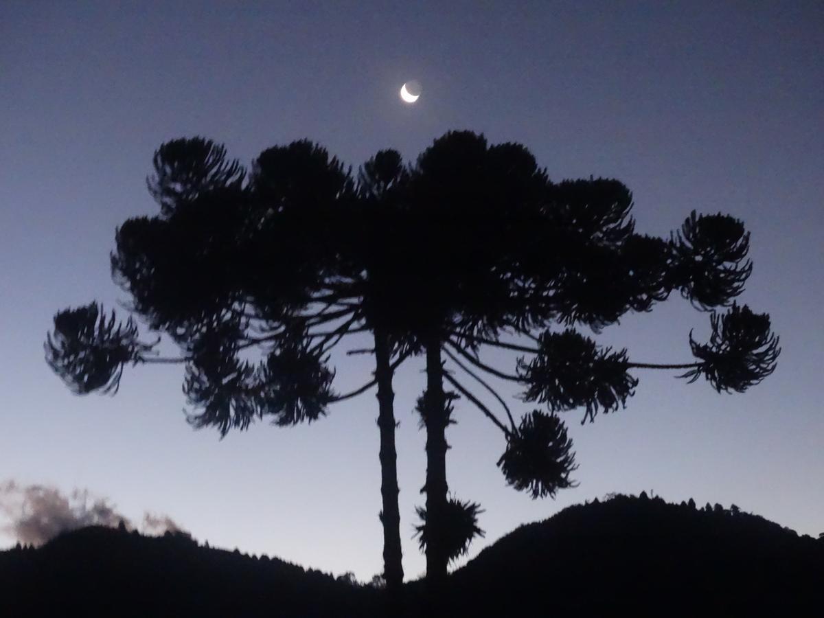 Cantinho Da Simone Campos do Jordao Dış mekan fotoğraf