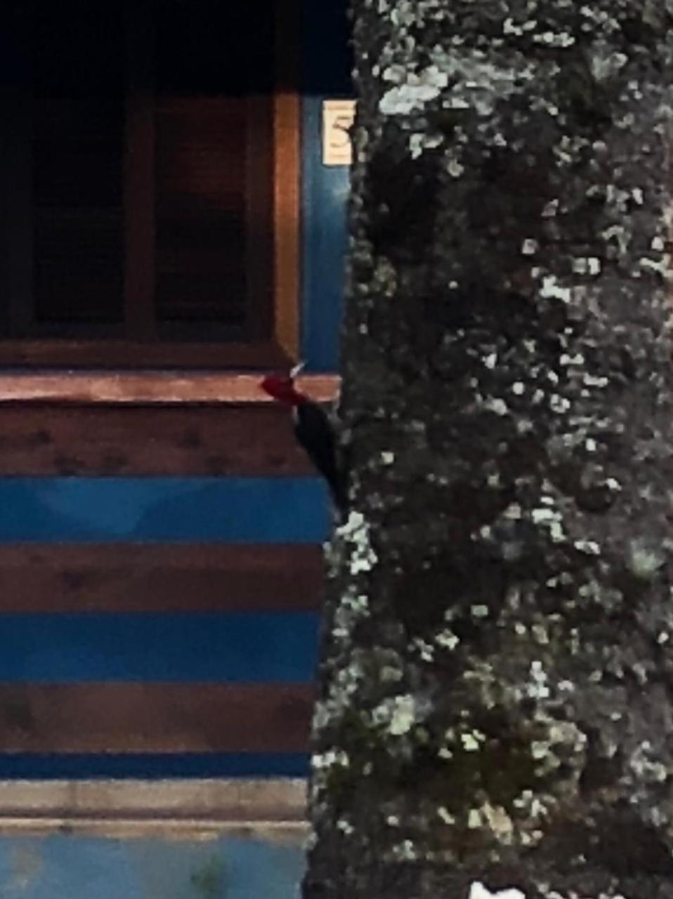 Cantinho Da Simone Campos do Jordao Dış mekan fotoğraf